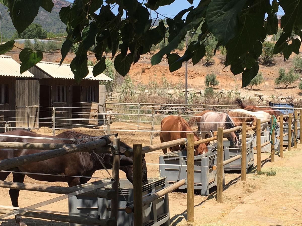 Mas Perdiueta Affittacamere Alforja Esterno foto